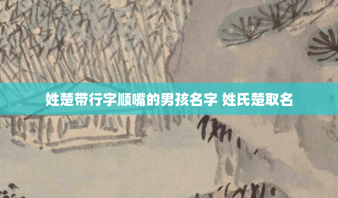 姓楚带行字顺嘴的男孩名字 姓氏楚取名