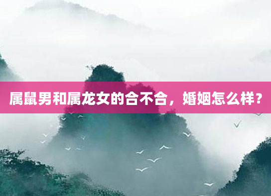 属鼠男和属龙女的合不合，婚姻怎么样？