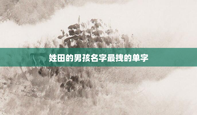 姓田的男孩名字最拽的单字