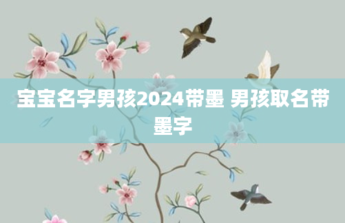 宝宝名字男孩2024带墨 男孩取名带墨字