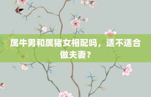 属牛男和属猪女相配吗，适不适合做夫妻？