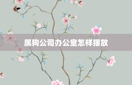 属狗公司办公室怎样摆放