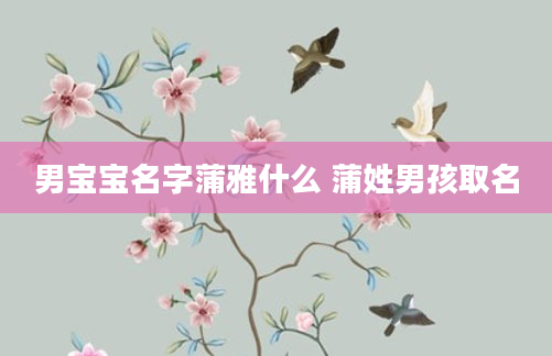 男宝宝名字蒲雅什么 蒲姓男孩取名