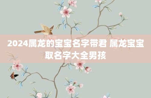 2024属龙的宝宝名字带君 属龙宝宝取名字大全男孩