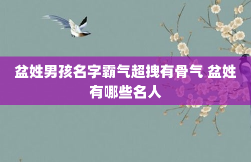 盆姓男孩名字霸气超拽有骨气 盆姓有哪些名人