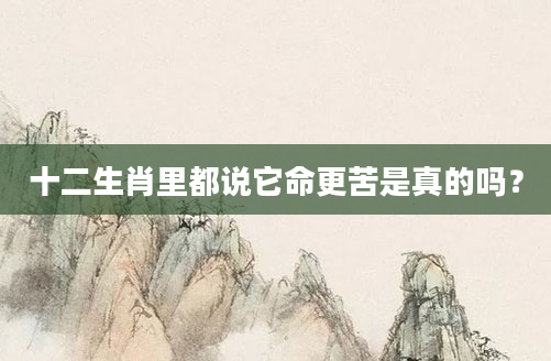 十二生肖里都说它命更苦是真的吗？