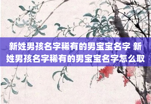 新姓男孩名字稀有的男宝宝名字 新姓男孩名字稀有的男宝宝名字怎么取