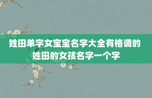 姓田单字女宝宝名字大全有格调的 姓田的女孩名字一个字
