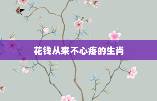 花钱从来不心疼的生肖