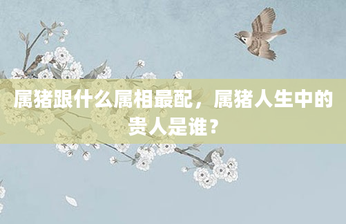 属猪跟什么属相最配，属猪人生中的贵人是谁？