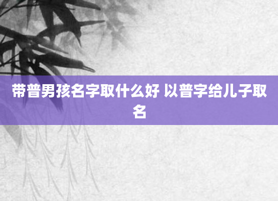 带普男孩名字取什么好 以普字给儿子取名