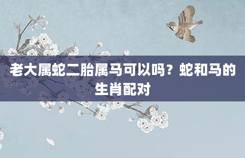 老大属蛇二胎属马可以吗？蛇和马的生肖配对
