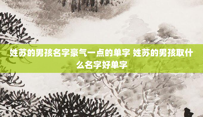 姓苏的男孩名字豪气一点的单字 姓苏的男孩取什么名字好单字