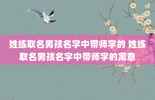 姓练取名男孩名字中带师字的 姓练取名男孩名字中带师字的寓意