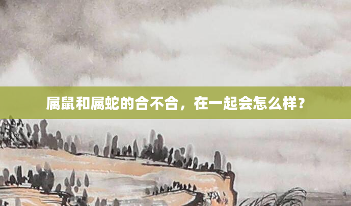 属鼠和属蛇的合不合，在一起会怎么样？