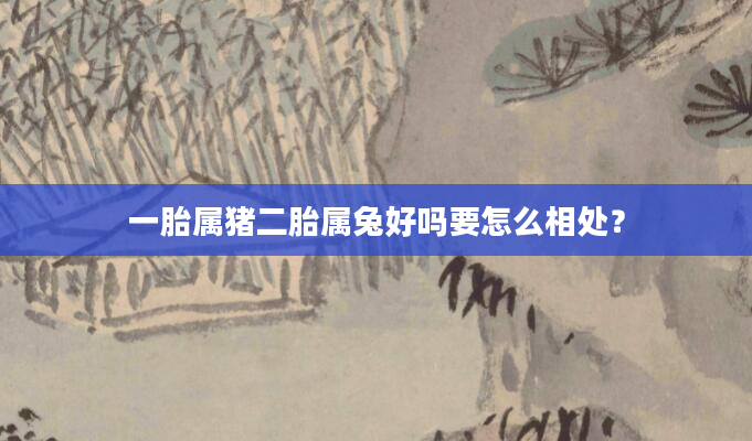 一胎属猪二胎属兔好吗要怎么相处？