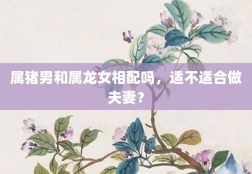 属猪男和属龙女相配吗，适不适合做夫妻？