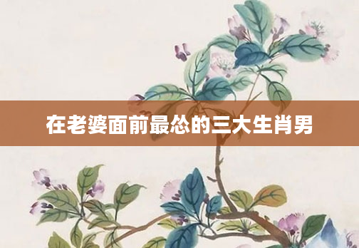 在老婆面前最怂的三大生肖男