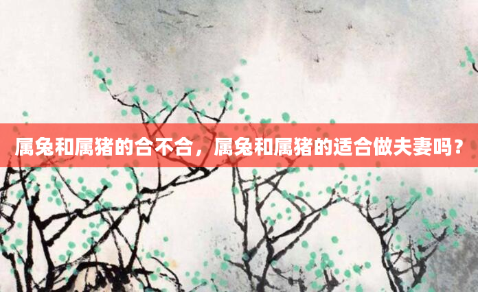 属兔和属猪的合不合，属兔和属猪的适合做夫妻吗？