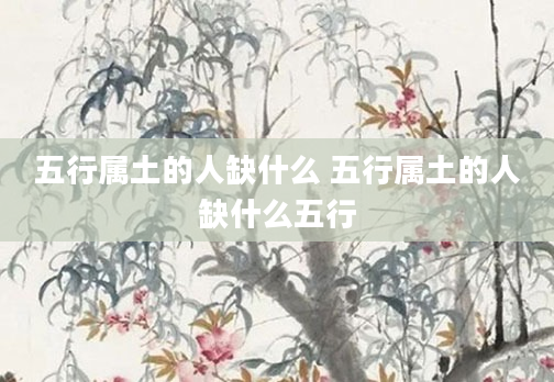 五行属土的人缺什么 五行属土的人缺什么五行