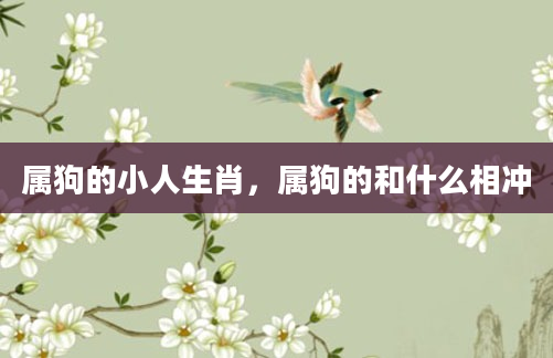 属狗的小人生肖，属狗的和什么相冲