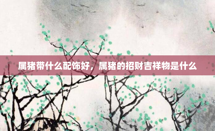 属猪带什么配饰好，属猪的招财吉祥物是什么