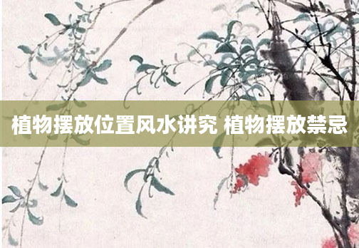 植物摆放位置风水讲究 植物摆放禁忌