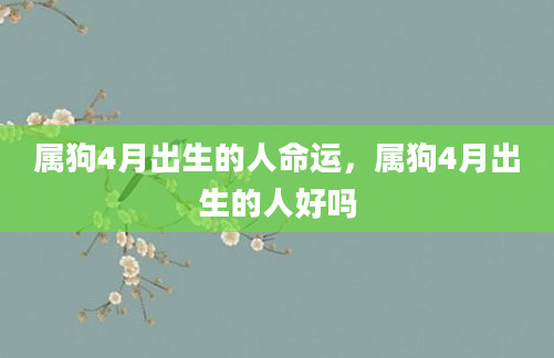 属狗4月出生的人命运，属狗4月出生的人好吗