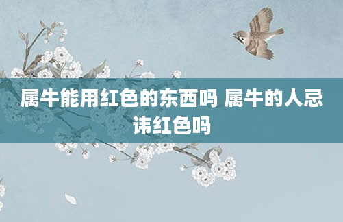 属牛能用红色的东西吗 属牛的人忌讳红色吗