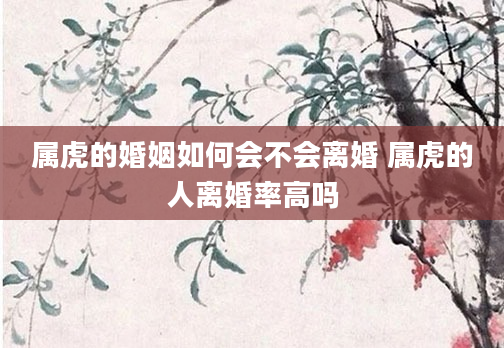 属虎的婚姻如何会不会离婚 属虎的人离婚率高吗
