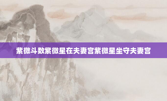 紫微斗数紫微星在夫妻宫紫微星坐守夫妻宫