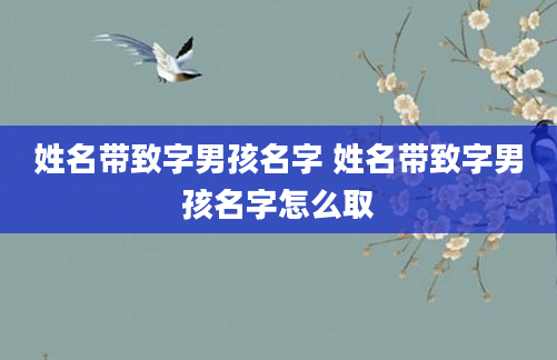 姓名带致字男孩名字 姓名带致字男孩名字怎么取