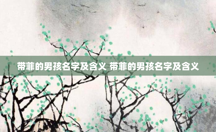 带菲的男孩名字及含义 带菲的男孩名字及含义
