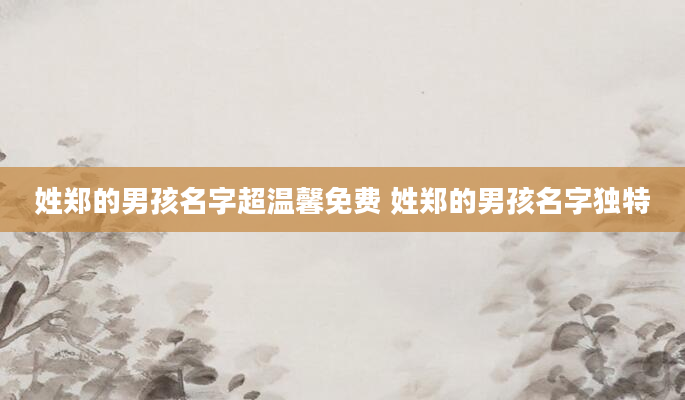 姓郑的男孩名字超温馨免费 姓郑的男孩名字独特