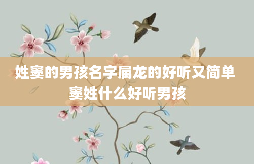 姓窦的男孩名字属龙的好听又简单 窦姓什么好听男孩