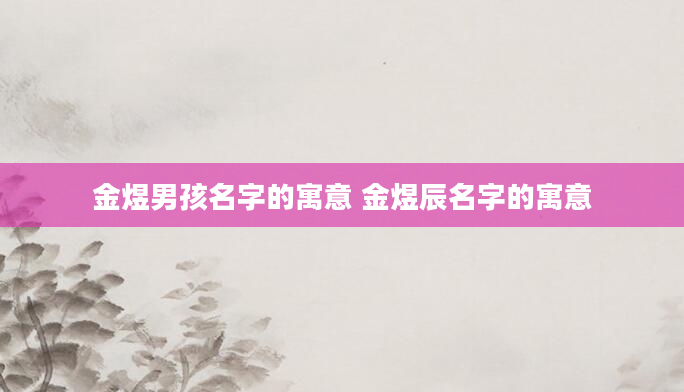 金煜男孩名字的寓意 金煜辰名字的寓意