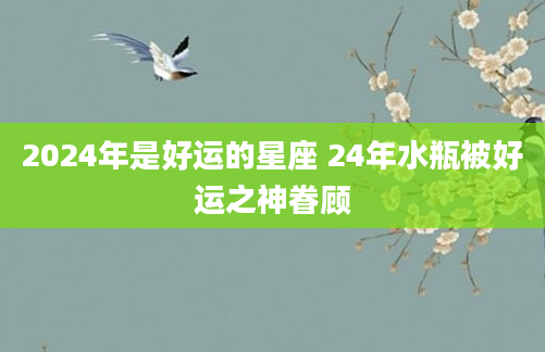 2024年是好运的星座 24年水瓶被好运之神眷顾