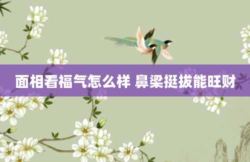 面相看福气怎么样 鼻梁挺拔能旺财