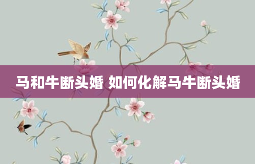 马和牛断头婚 如何化解马牛断头婚