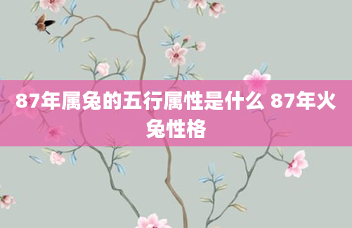 87年属兔的五行属性是什么 87年火兔性格