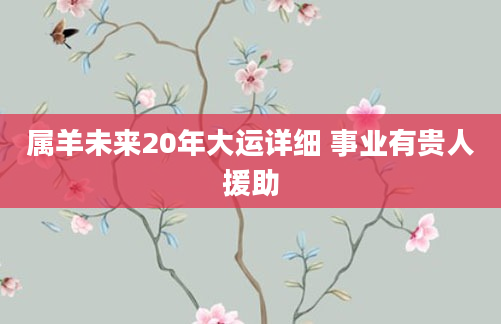 属羊未来20年大运详细 事业有贵人援助