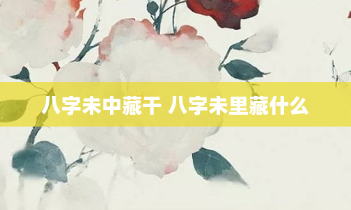 八字未中藏干 八字未里藏什么