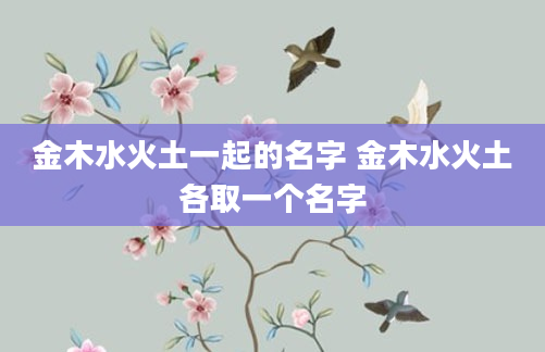 金木水火土一起的名字 金木水火土各取一个名字