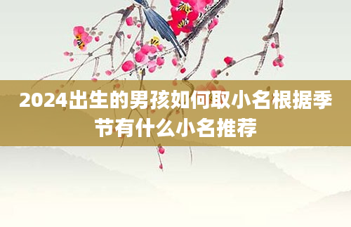 2024出生的男孩如何取小名根据季节有什么小名推荐