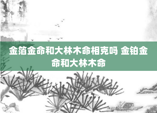 金箔金命和大林木命相克吗 金铂金命和大林木命