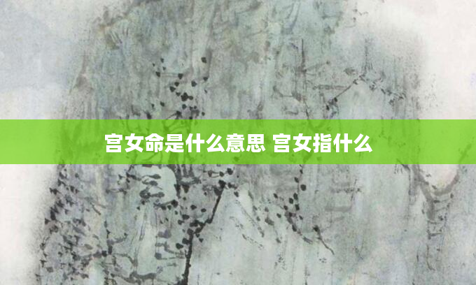 宫女命是什么意思 宫女指什么