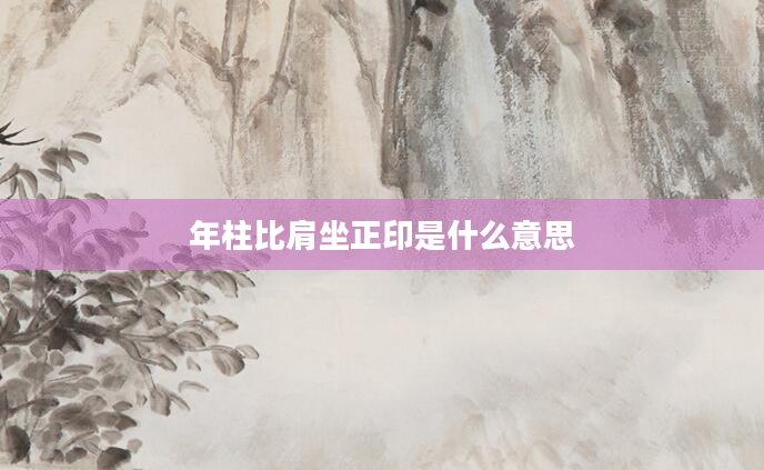 年柱比肩坐正印是什么意思