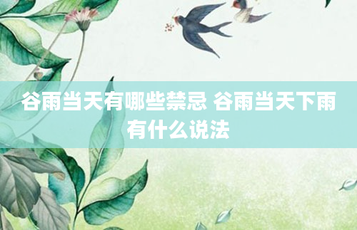 谷雨当天有哪些禁忌 谷雨当天下雨有什么说法
