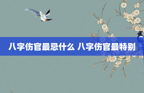 八字伤官最忌什么 八字伤官最特别