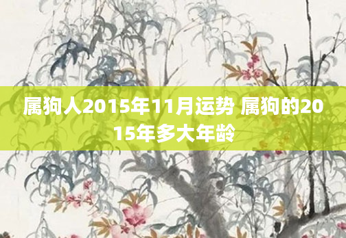 属狗人2015年11月运势 属狗的2015年多大年龄